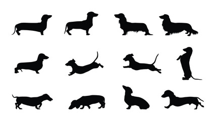 Dachshund Dog silhouettes collection