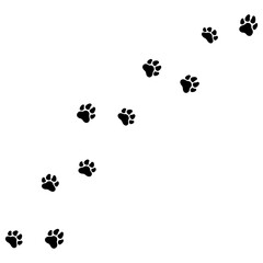 Paw print of dog isolated on white background.