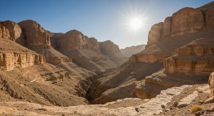 Fototapeta premium Desert canyon vista under a bright sun
