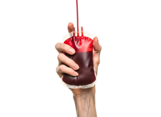 Hand holding a blood bag isolated on transparent background