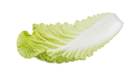 Close-up of a fresh, crisp green lettuce leaf with visible veins and texture against a white background