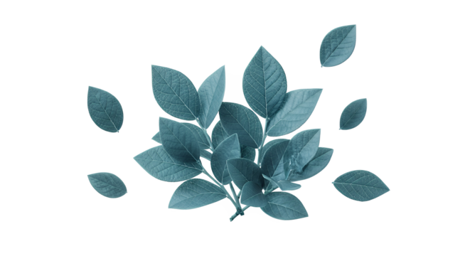 Teal tinted branch with leaves isolated on white background