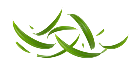 Floating Fresh Green Leaves A Serene Natural Display on White Background