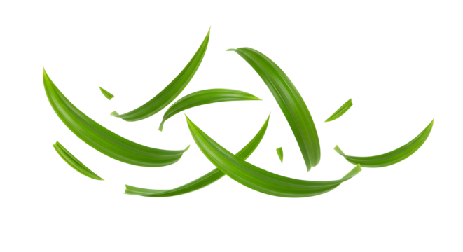 Floating Fresh Green Leaves A Serene Natural Display on White Background