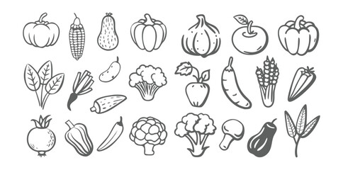 Vegetable Icons Set | Minimal Black Line Food Vector | Organic Veggies Outline Pack