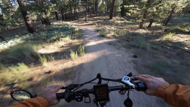 Mountain Bike POV Shot of McGill Trail Downhill Chula Vista to Mt Pinos 5 Los Padres Forest California USA