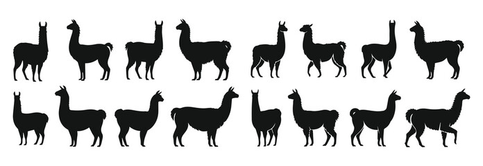 Fototapeta premium Llama silhouette vector collection of poses