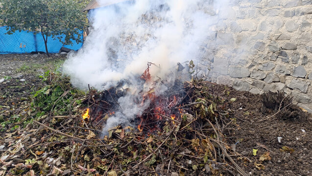 Smoke from burning leaves in the garden of a house in autumn. A bonfire burning between 2 stone houses. A bonfire smoking next to a stone fence.