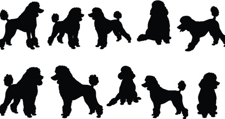 Poodle dog silhouette collection vector illustration, stylish pet grooming design, elegant domestic animal artwork for logo, fashion, decor, and creative branding concept