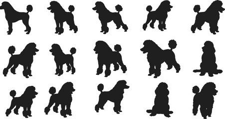 Poodle dog silhouette set vector illustration, stylish domestic pet design, elegant grooming artwork for decoration, fashion, logo, poster, and creative branding
