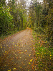 View of the Ostiglia-Treviso cycle pedestrian path, near Camposampiero, Veneto, Italy