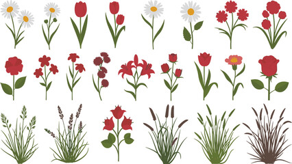 Large Set of Various Vector Flowers Including Tulips, Roses, Lilies, Daisies, and Grasses, Representing Botanical Collection, Spring, and Nature Design Elements.