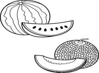 Black and white line art  white, vector.Black and white line art illustration of whole and sliced melons, fresh watermelon and canta