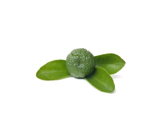close-up of kaffir lime (also known as Makrut or Thai lime) isolated on white background