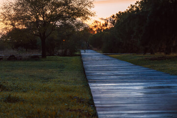 Curved wooden walkway at twilight