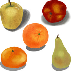 Watercolor Still Life Fruits on Textured Paper | Pear, Apple, Orange Illustration Set