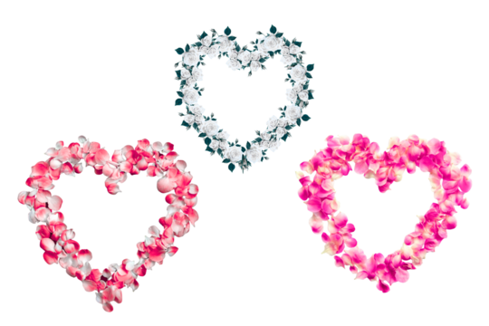 PNG image of Heart shapes white roses pink petals love overlay transparent backgroud