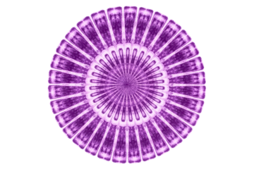 Abstract circular mandala design with a radial purple pattern isolated with transparent background