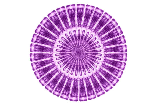 Abstract circular mandala design with a radial purple pattern isolated with transparent background
