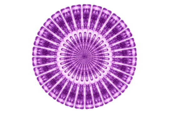 Abstract circular mandala design with a radial purple pattern isolated with transparent background