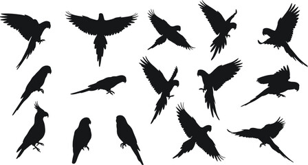 Set of parrot silhouette vector illustrations, tropical bird collection in flight and perched positions, exotic wildlife animal design, nature graphic art