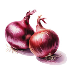 red onions watercolor Two fresh illustration culinary ingredient
