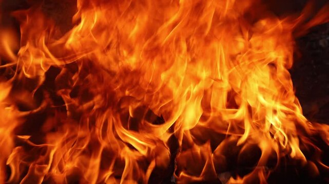 fire flames background. Burning fire. Bonfire. Closeup of flames burning on black png background.
