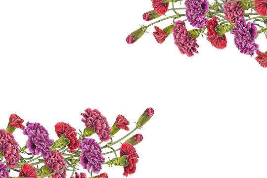 Watercolor floral frame corner red and pink carnations in realistic botanical style. Illustration for greeting cards remembrance projects memorial invitations Mothers Day May 9 Spain and Portugal.
