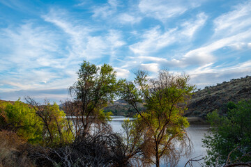 Paysage lacustre en Namibie