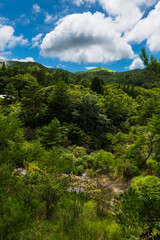 Several views of the Hell of Kumatsu (Komatsujigoku), where a wooden path leads you through a collection of boiling mud pools and steamy fumaroles demonstrating the volcanic activity taking place just