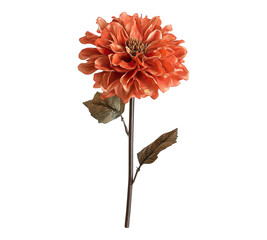 A large orange flower with a brown stem