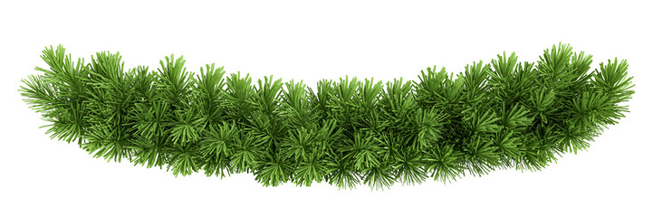 Christmas decoration pine tree branches isolated on white