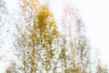 Image captures blurred motion of trees with vibrant spring leaves swaying gently in breeze, creating serene atmosphere filled with warm colors and soft natural light