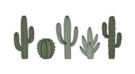 A charming collection of various cactus plants in silhouette form.