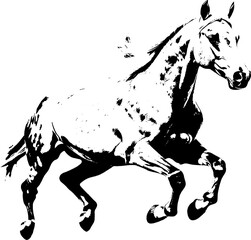 A dynamic black silhouette of a horse  exuding grace and strength against a clean white backdrop