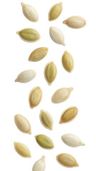 Pumpkin seeds scattered isolated on a transparent background