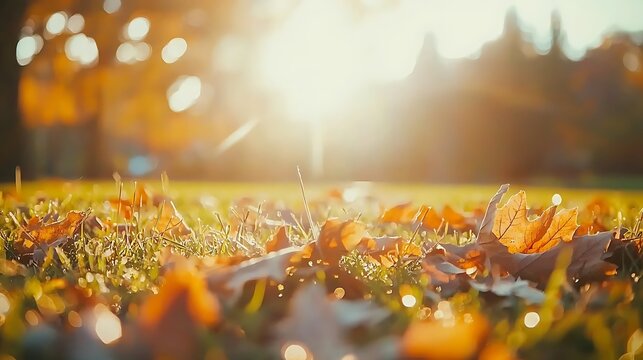 Dreamy autumn background blending warm orange hues and shimmering bokeh light details