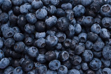 Blueberries in a plastic container isolated on a white background.