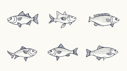 Collection of six hand-drawn fish illustrations in a classic simple sketch style.