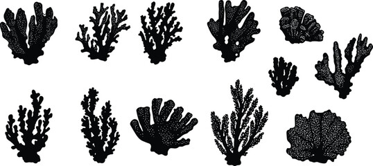 PrintCoral silhouette icons, marine biology graphics, black reef shapes, ocean life symbols, underwater nature design, sea structure illustration, aquatic elements