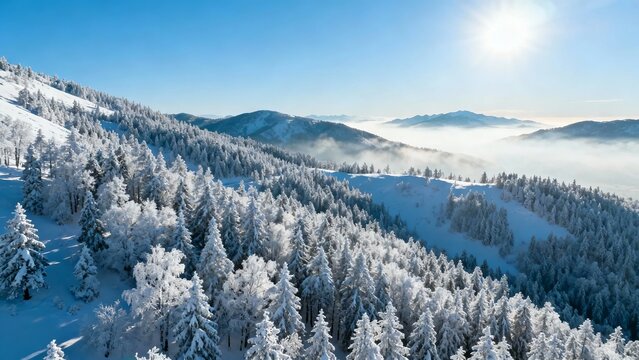 Snow-covered forest and mountain landscape under clear blue sky with sun shining brightly