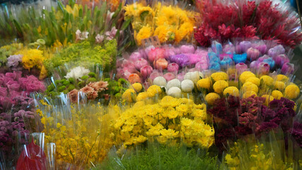Palette of Petals – A Pastel Rainbow of Market Flowers