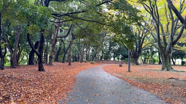 path in the park