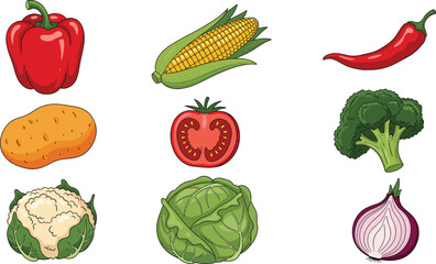Set of Common Garden Vegetables Vector Illustration, Including Bell Pepper, Corn, Potato, Tomato, Broccoli, and Cabbage for Food and Healthy Eating Concepts