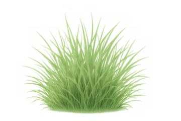 Green grass tuft isolated on transparent background. Representing nature, growth, and natural fresh elements