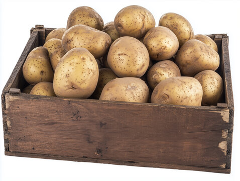 Fresh Russet Potatoes in Rustic Wooden Crate