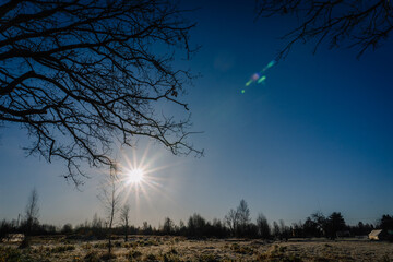 Bright sun shining through bare branches of a tree in a serene winter landscape, with frost-covered ground and clear blue sky creating a tranquil outdoor scene