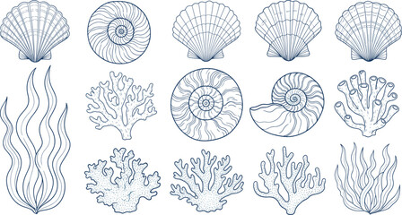 Vintage Engraving Set of Underwater Marine Elements, Including Seashells, Spiral Shells, Coral Reefs, and Seaweed, Representing Ocean Life and Biology Vector © MdMunzurul