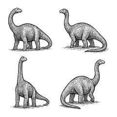Brachiosaurus Dinosaur Sketch Set in Vintage Engraving Style, Transparent Background © FriskySloths
