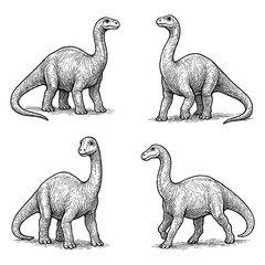 Brachiosaurus Dinosaur Sketch Set in Vintage Engraving Style, Transparent Background © FriskySloths